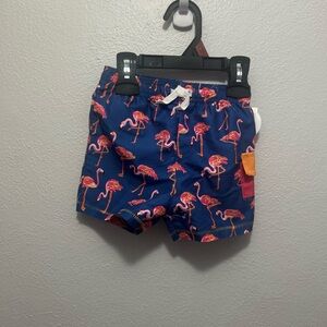 Mud Pie Baby Boy Flamingo Swim Shorts